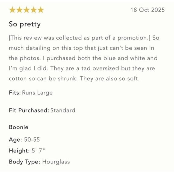 NWT Size L - Anthropologie 100% Cotton Lace Swing Blouse Blue (NWT USD 108) - Picture 2 of 15